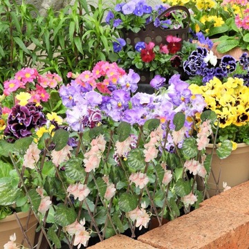 ЗАБОР ЭКРАН КОНФИДЕНЦИАЛЬНОСТИ ИСКУССТВЕННЫЕ РАСТЕНИЯ