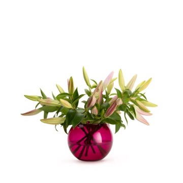 Стеклянная шаровая ваза, амарант, прозрачная, ширина 19 см.