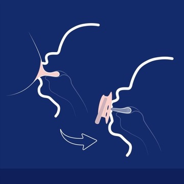 Lovi Dynamic Silicone Teat 6-18M 2 ПК. Цветая слоновая кость