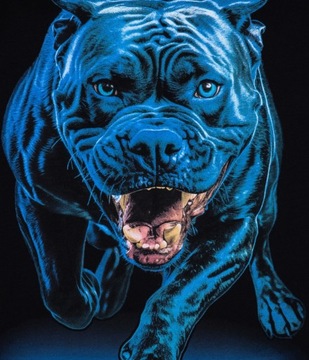 Pit Bull T tričko Tričko In Blue Black L