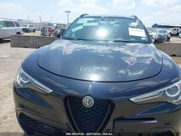 Alfa Romeo Stelvio SUV 2.0 Turbo 280KM 2019 Alfa Romeo Stelvio 2019 Alfa Romeo Stelvio Ti AWD 2.0 Benzyna 280KM, zdjęcie 7