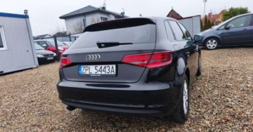 Audi A3 8V Cabriolet 1.6 TDI clean diesel 110KM 2016 Audi A3 Sportback Audi A3 Sportback 1.6 TDI 1.6 Diesel 110KM, zdjęcie 7