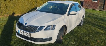 Skoda Octavia III Liftback Facelifting 2.0 TDI 150KM 2018 SKODA OCTAVIA III 2.0 TDI 150 KM 2018r BEZWYPADKOWY!!! NISKI PRZEBIEG!!!, zdjęcie 12