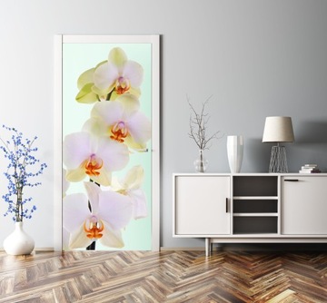 ФОТОобои шпон дверная пленка ЦВЕТЫ ОРХИДЕИ