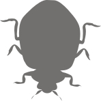 Отражатели, ЖЕЛЕЗНЫЕ НАШИВКИ, Черви, Веселая нашивка