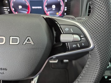 Skoda Karoq Crossover Facelifting 1.5 TSI ACT 150KM 2025 Skoda Karoq SPORTLINE 1.5 TSI DSG z placu 150 KM, zdjęcie 28