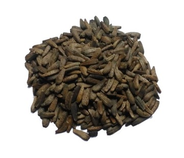 Łopian większy - nasiona - 100g
