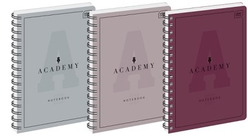 KOŁOZESZYT A4 100# 90G ACADEMY INTERDRUK