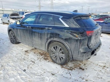 Infiniti QX50 2021 Infiniti QX50 Luxe 2021 2.0 Benzyna 268KM, zdjęcie 1