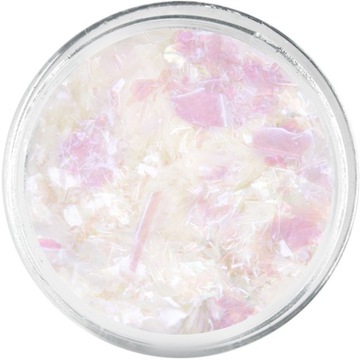 Пыль TWINKLE EFFECT PETALS №6 Украшение ногтей