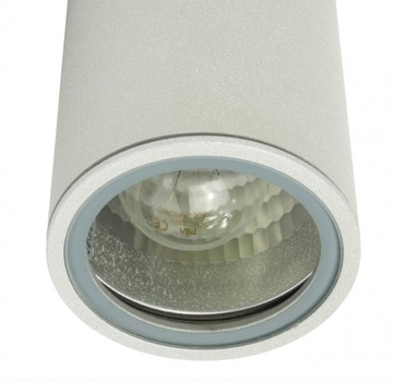 Накладной серебряный террасный точечный светильник ADELA