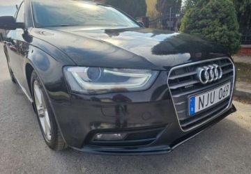 Audi A4 B8 Allroad quattro Facelifting 2.0 TDI 177KM 2013 Audi A4 Avant Audi A4 Avant 2.0 TDI DPF quattro Attraction 2.0 Diesel 177KM, zdjęcie 16