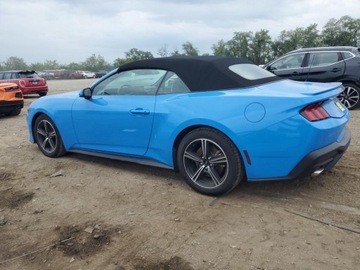 Ford Mustang VI 2024 Ford Mustang 2024 2.3l 2.3 Benzyna 315KM, zdjęcie 1