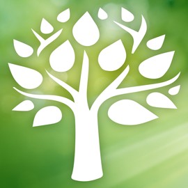 Bref Prenature Gel для туалетного грейпфрута 700 мл