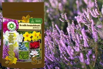 СИАРКОПОЛЬ ОГРОД 2001 ОСЕННЕЕ УДОБРЕНИЕ ДЛЯ КИСЛОЛЮБИТЕЛЬНЫХ УТЕПЛИТЕЛЕЙ ЧЕРНИКИ 5 КГ