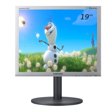 Markowy Monitor biurowy LCD 19