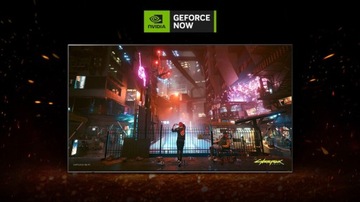 QNED 120 HZ LG 65QNED813RE 65