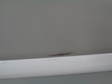 Kia Soul II EV боковая панель, обшивка двери задней левой