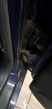 PANT DVEŘE PŘEDNÍ ZADNÍ VW GOLF IV BORA BARVA LA7W