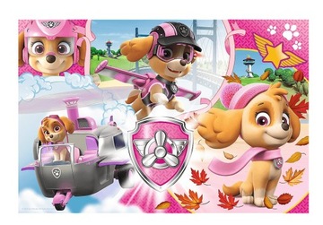 Пазл 100 деталей. Скай в действии