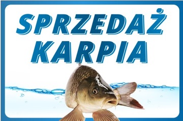 BANER KARP SPRZEDAŻ KARPIA KARP ŻYWY RÓŻNE WZORY