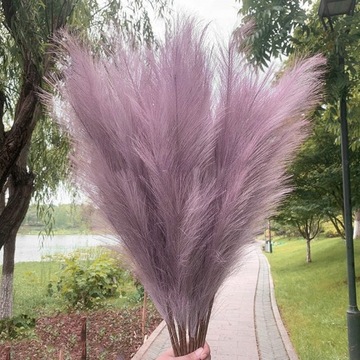 ДЕКОРАТИВНАЯ ПАМПАСНАЯ ТРАВА пампасное украшение 70см