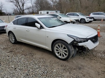 Cadillac 2021 Cadillac CT5 Luxury 2021 2.0L 2.0 Benzyna 237KM, zdjęcie 4