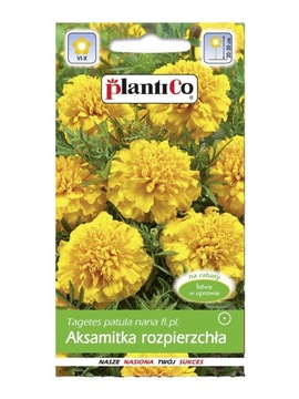 PLANTICO NASIONA AKSAMITKA ROZPIERZCHŁA ŻÓŁTA 1 G