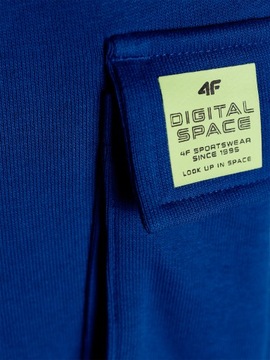 СПОРТИВНЫЕ БРЮКИ ДЛЯ МАЛЬЧИКОВ 4F, ХЛОПОК, AW23M415