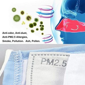 Угольный фильтр PM2,5 для REUSABLE MASK FILTER XL