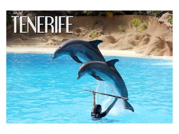 TENERYFA - Loro Parque - Magnes na lodówkę