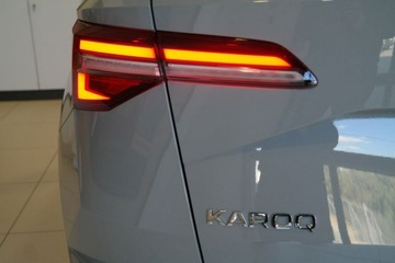 Skoda Karoq Crossover Facelifting 1.5 TSI ACT 150KM 2025 Škoda Karoq Skoda Karoq Karoq Edition130 1.5 TSI, zdjęcie 8
