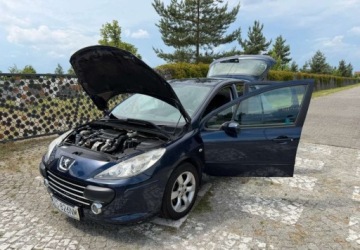 Peugeot 307 II Hatchback 1.6 HDi 16V 90KM 2007 Peugeot 307 Peugeot 307 HDi 90 Filou 1.6 Diesel 90KM, zdjęcie 16