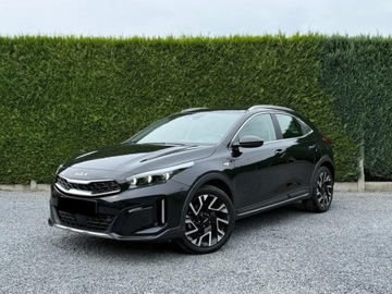 Kia XCeed Crossover Facelifting 1.5 T-GDi 140KM 2025 KIA XCeed 1.5 T-GDI DCT Crossover 140KM 2025