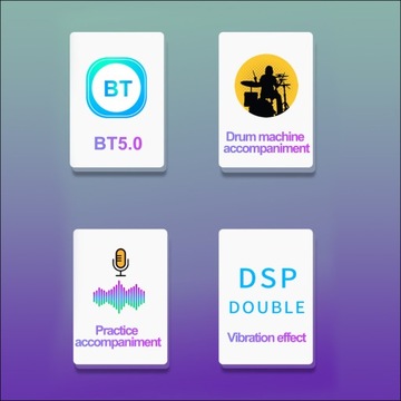 Встроенный предусилитель DOUBLE OS1 с резонансным звукоснимателем SFT