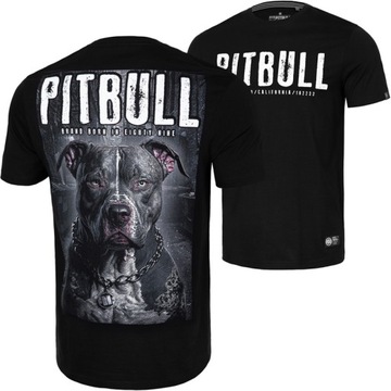 PIT BULL koszulka STREET KING black od ARI -- XXL