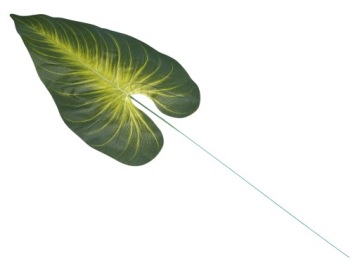 ИСКУССТВЕННЫЕ ЦВЕТЫ ЛИСТ КАК ЖИВОЙ ИСКУССТВЕННАЯ ВЕТКА ДЛИННЫЙ ЛИСТ НА КОШКЕ 64 см