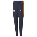 Брюки Puma Soccer Valencia Cf Training 20/21