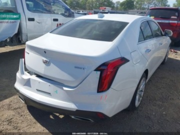 Cadillac 2020 Cadillac CT4 Luxury 2020 2.0 Benzyna 237KM, zdjęcie 5