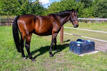 НЕЗАМОРОЗИВАЮЩАЯ ПОИЛКА 100Л, ДВУХКАМЕРНАЯ КЕРБЛ