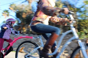 WeeRide Co-Pilot детский велосипедный прицеп коляска США ЕС