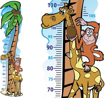 NAKLEJKA naklejki MIARKA miarki WZROSTU do 160cm
