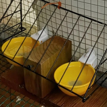 12x Wiszące Kubki na Poidła do Kurczaków dla