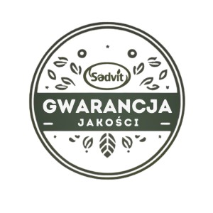 Сок имбиря 100% натуральный прессованный имбирь 1,5л для здоровья прессованный