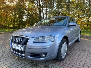 Audi A3 8P Hatchback 3d 1.6 102KM 2007 Audi A3 Attraction 1.6 Benzyna