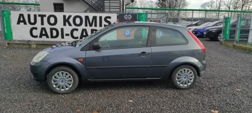 Ford Fiesta VI 1.25 i 16V 75KM 2004 Ford Fiesta Stan bardzo dobry., zdjęcie 6