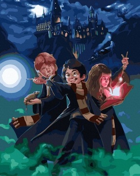 Malowanie Po Numerach Zestaw Magia 40x50