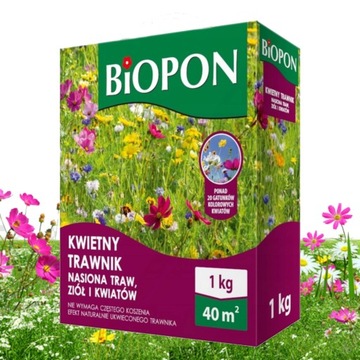 KWIETNA ŁĄKA TRAWNIK MIX ROŚLIN MIODODAJNYCH 1kg