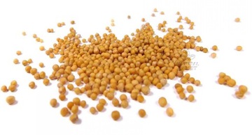 GORCZYCA BIAŁA ZIARNO 1kg