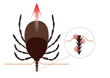 Ловушки для клещей PORTICA Tick Twister - 2 шт.